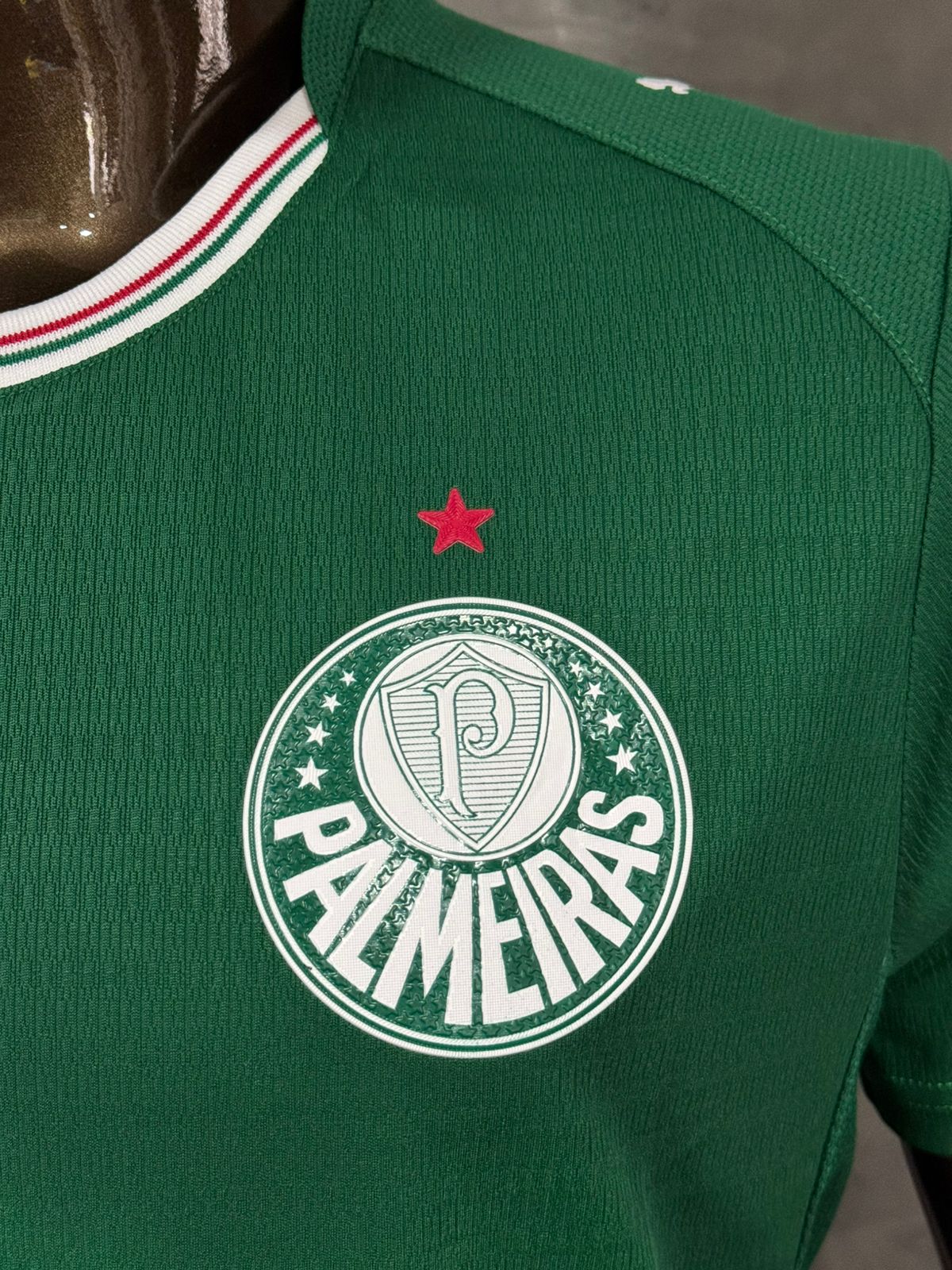 Modelo Jogador Camisa do Palmeiras I 26/27 Puma Verde