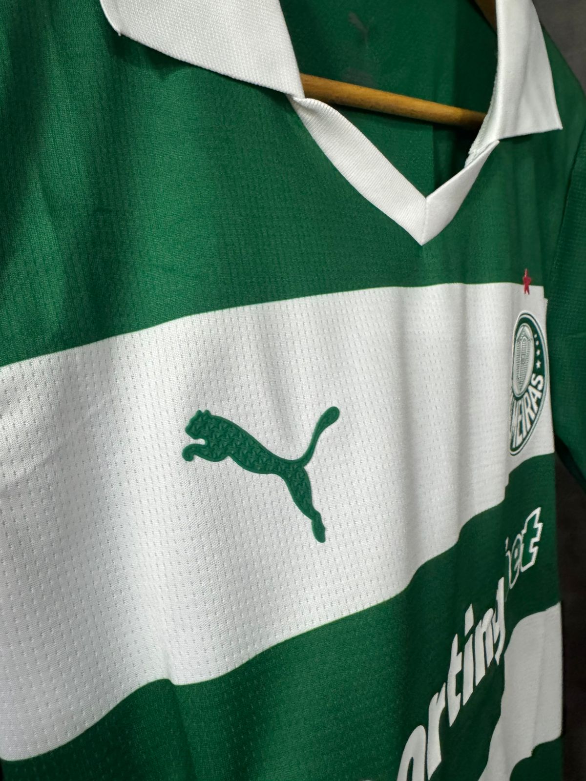 Palmeiras III 2025/26 Modelo Jogador Puma Verde