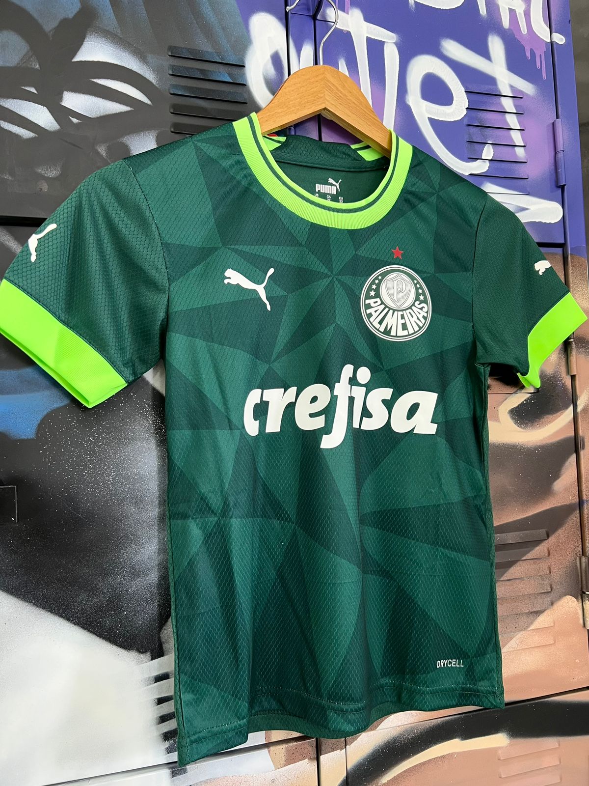 Conjunto Palmeiras Puma Verde