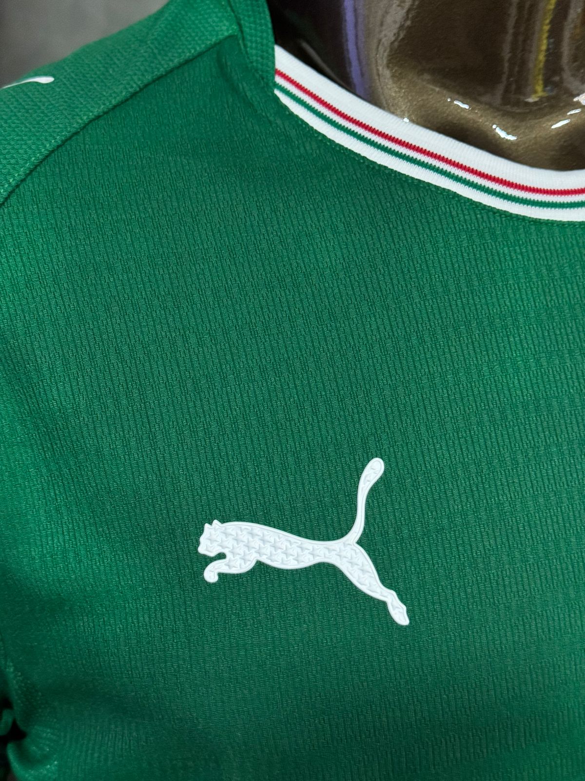 Modelo Jogador Camisa do Palmeiras I 26/27 Puma Verde