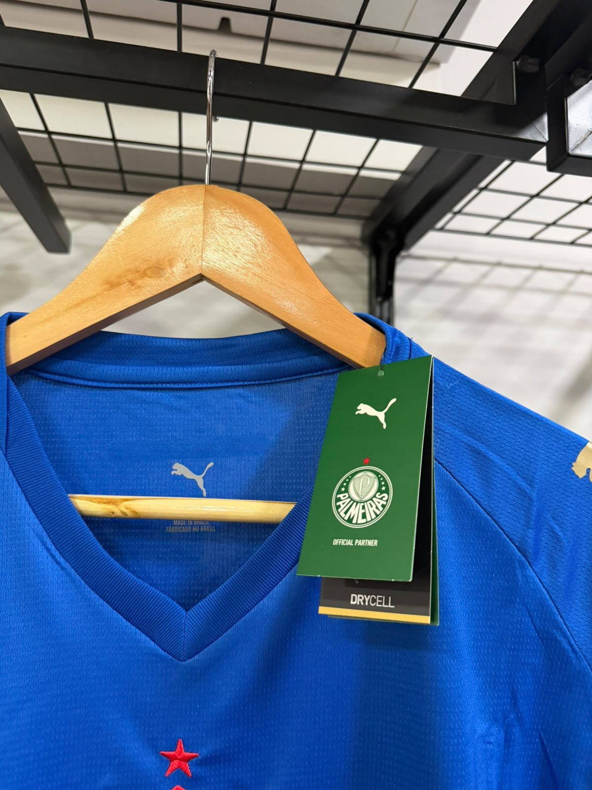 Palmeiras III 2026/27 Puma Azul