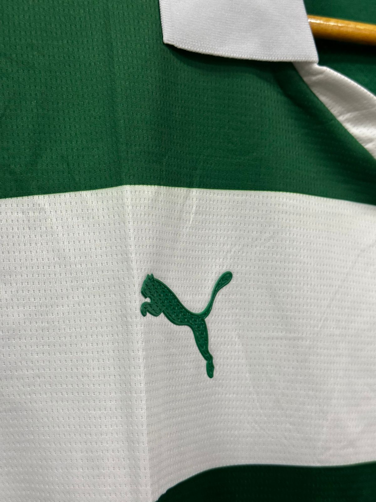 Palmeiras III 2025/26 Puma Branca e Verde