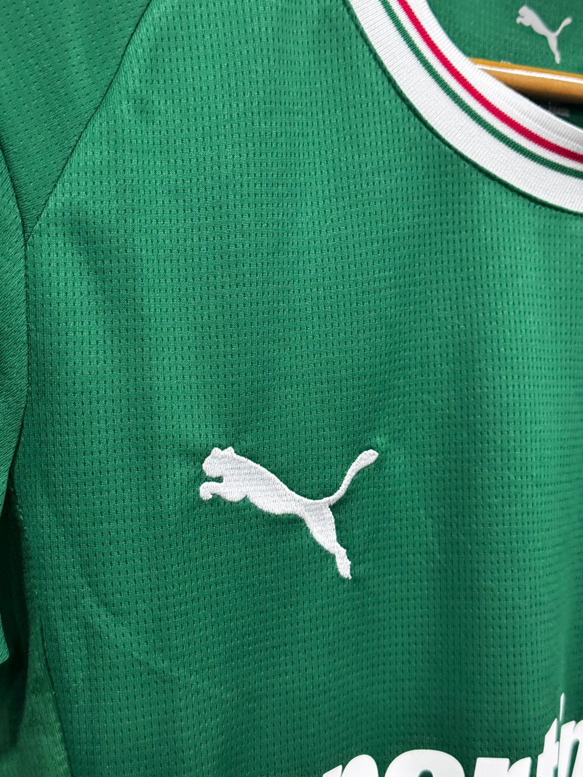 Camisa do Palmeiras I 26/27 Puma Verde