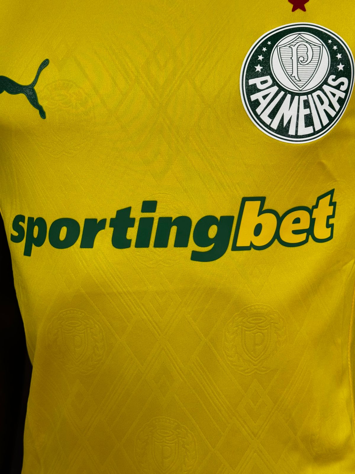 Palmeiras III 25/26 Modelo Jogador Puma Amarelo