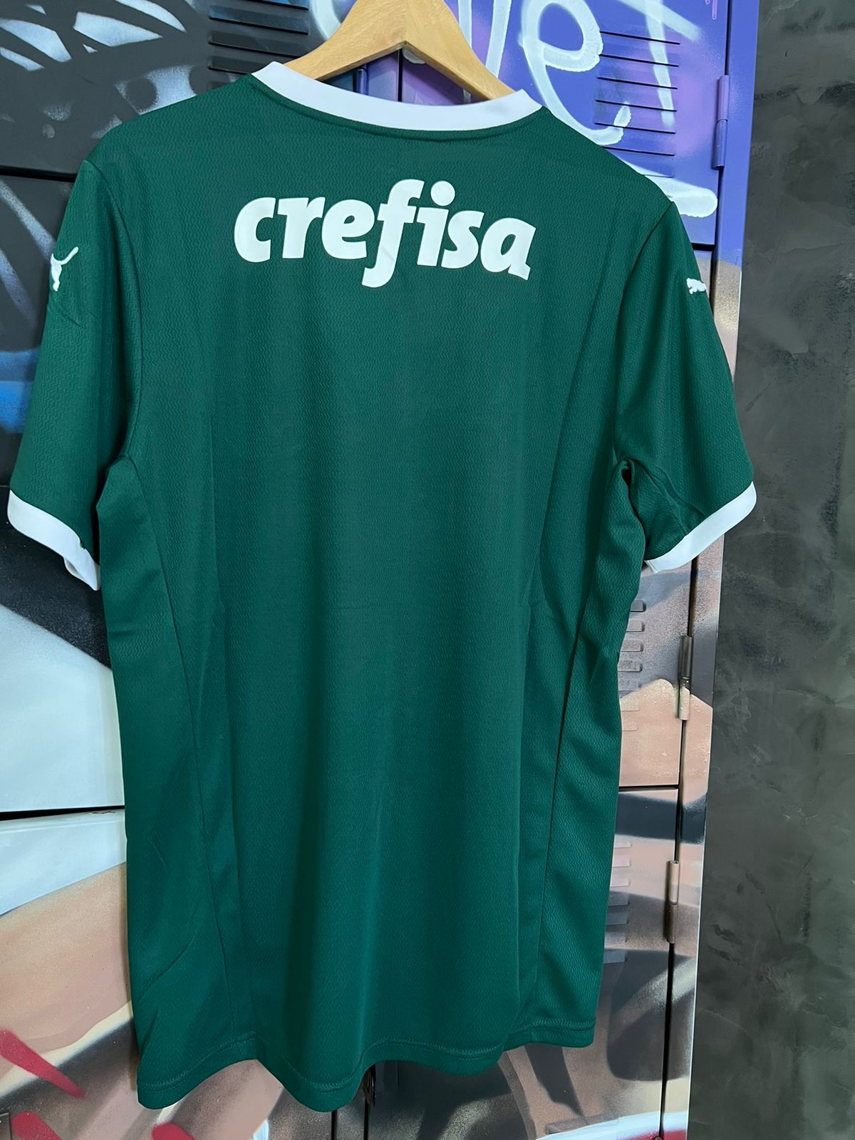 Palmeiras I 2022 Puma Verde