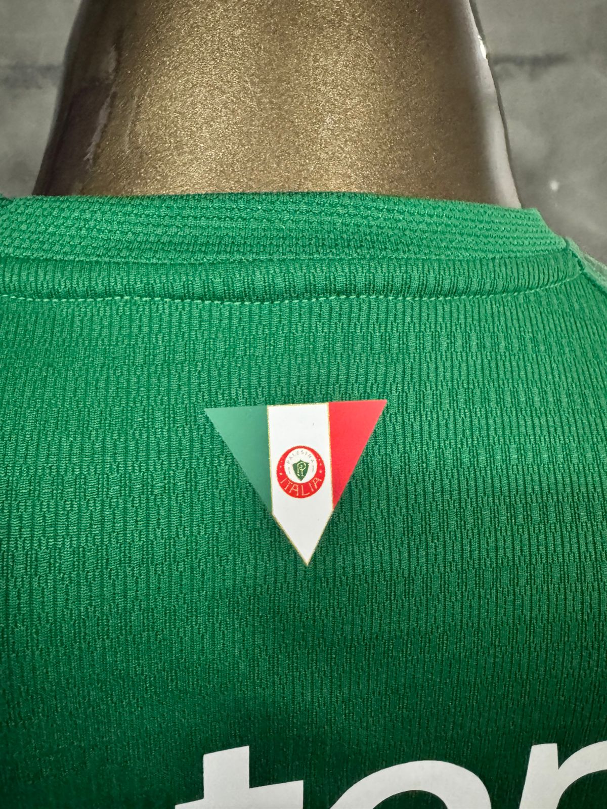 Modelo Jogador Camisa do Palmeiras I 26/27 Puma Verde