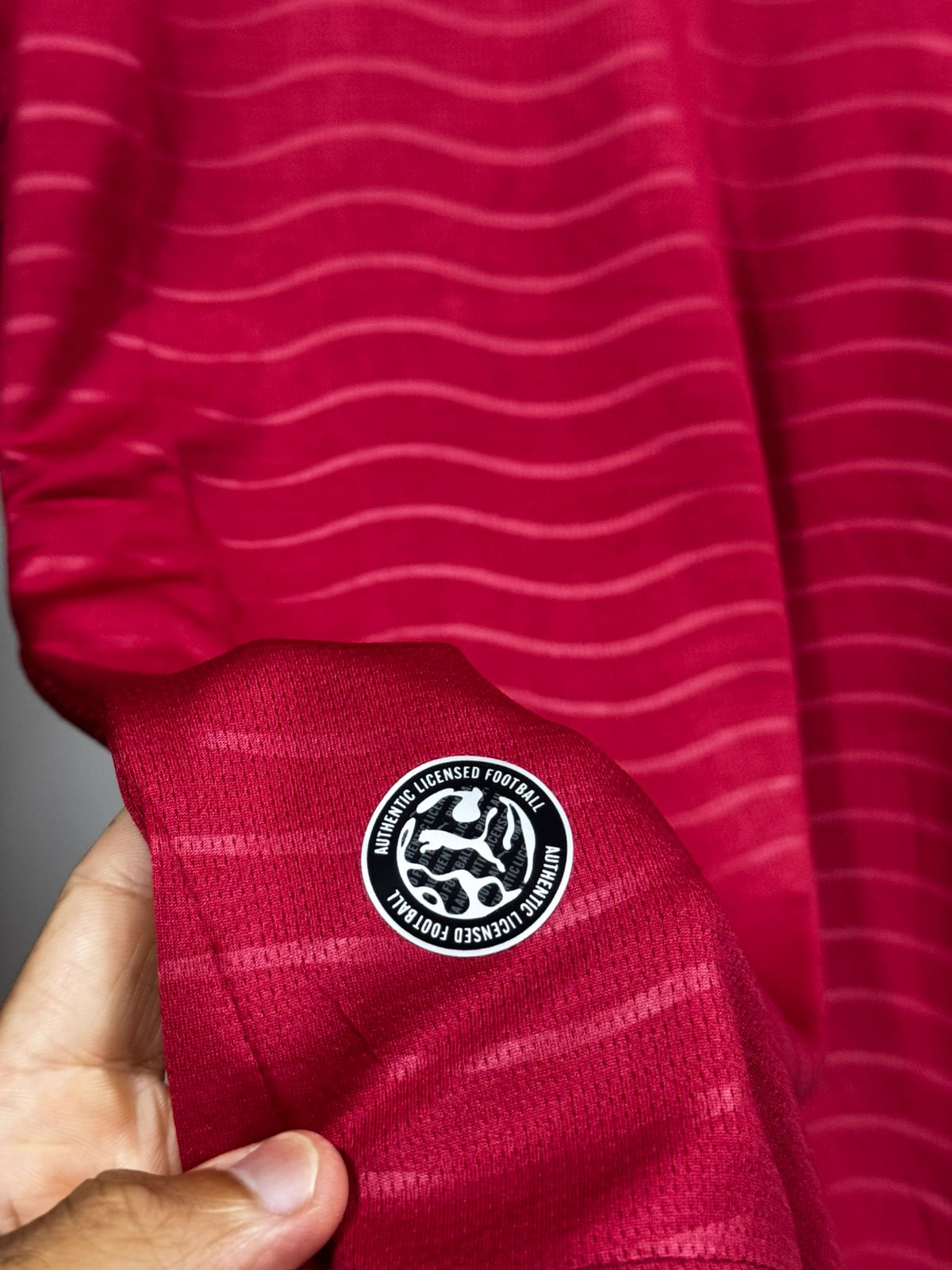 Camisa Portugal I 26/27 Puma Vermelha