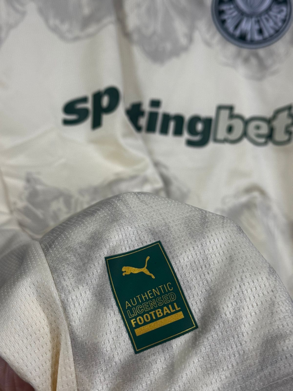 Palmeiras III 25/26 Puma Bege