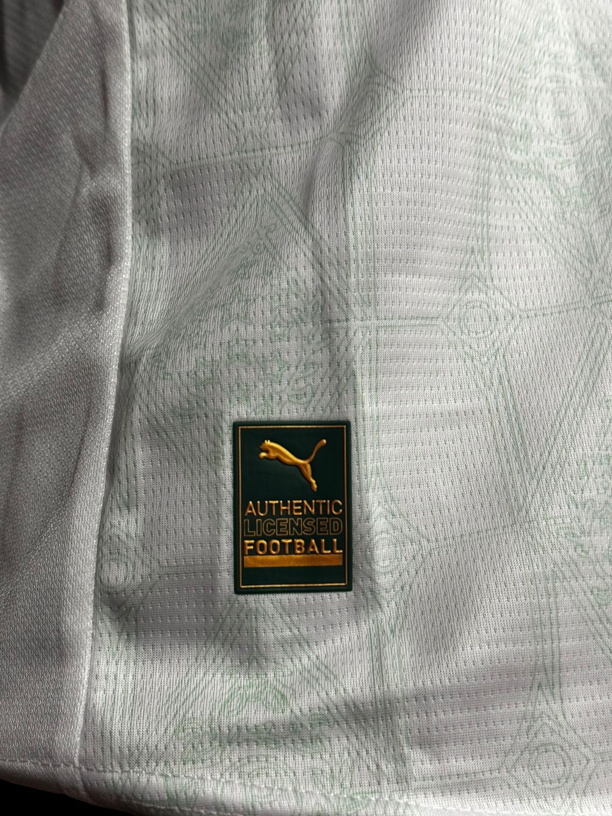 Modelo Jogador Palmeiras 25/26 Puma Branca