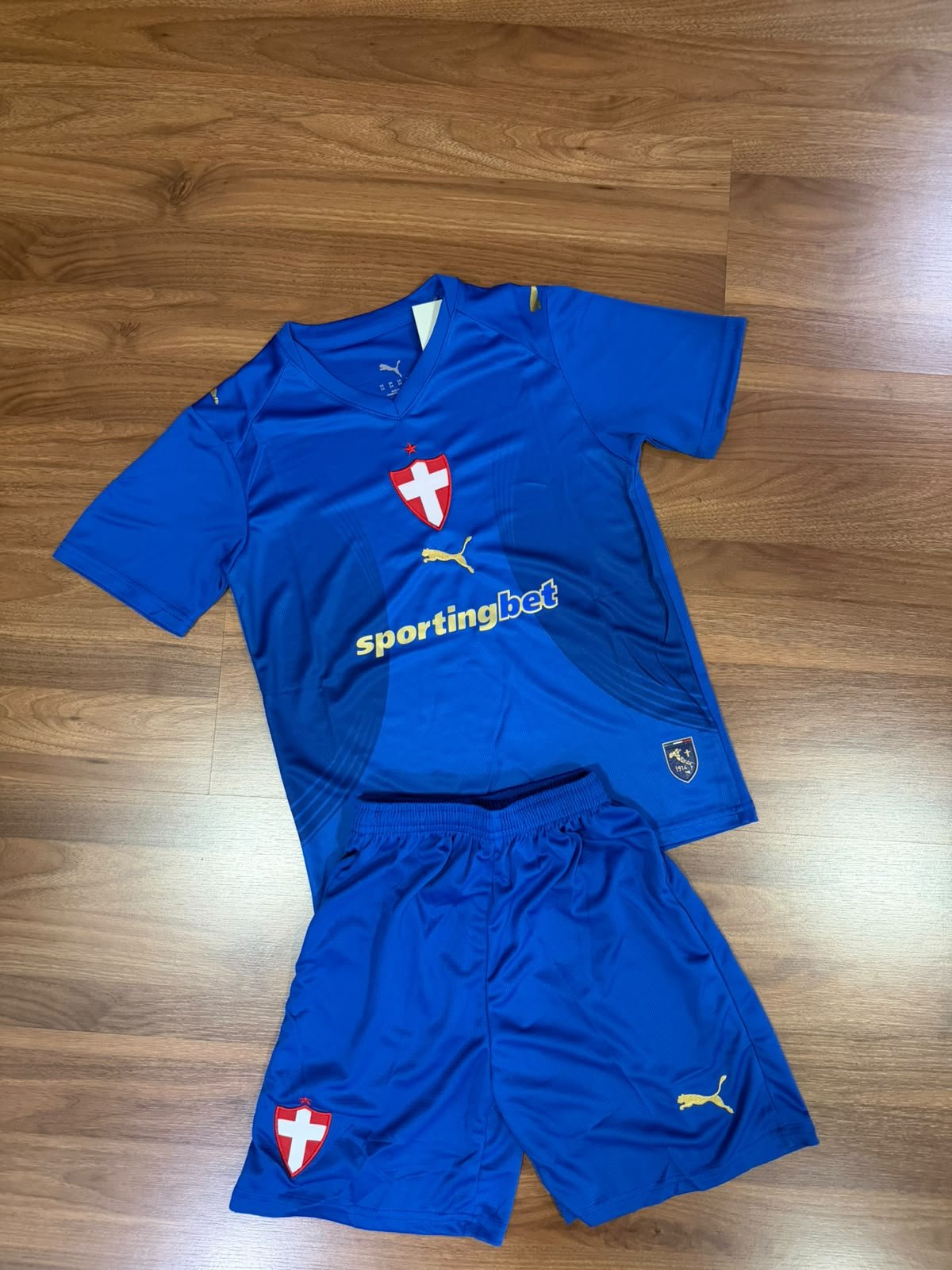 Conjunto Infantil Palmeiras III 2026/27 Puma Azul