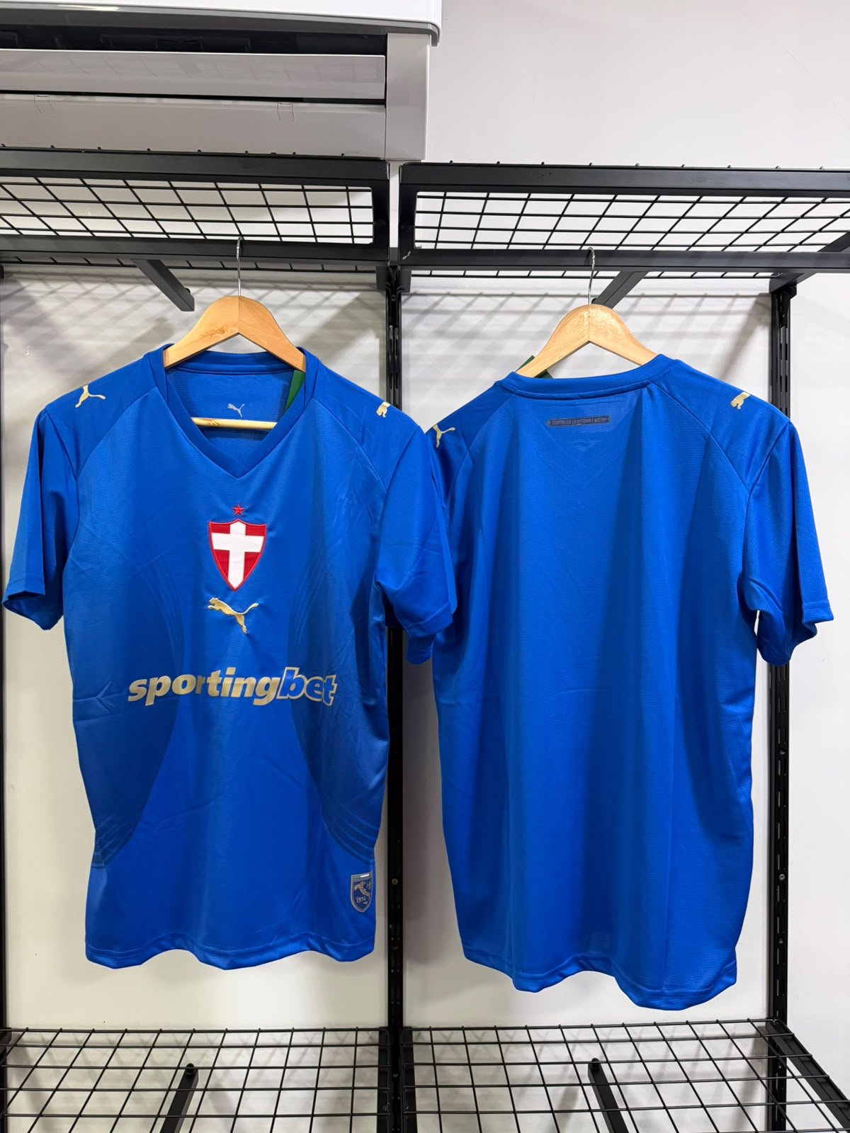 Palmeiras III 2026/27 Puma Azul