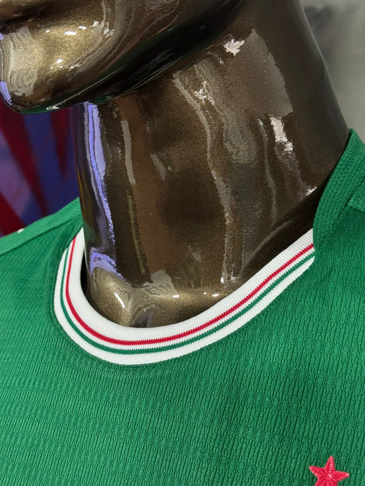 Modelo Jogador Camisa do Palmeiras I 26/27 Puma Verde