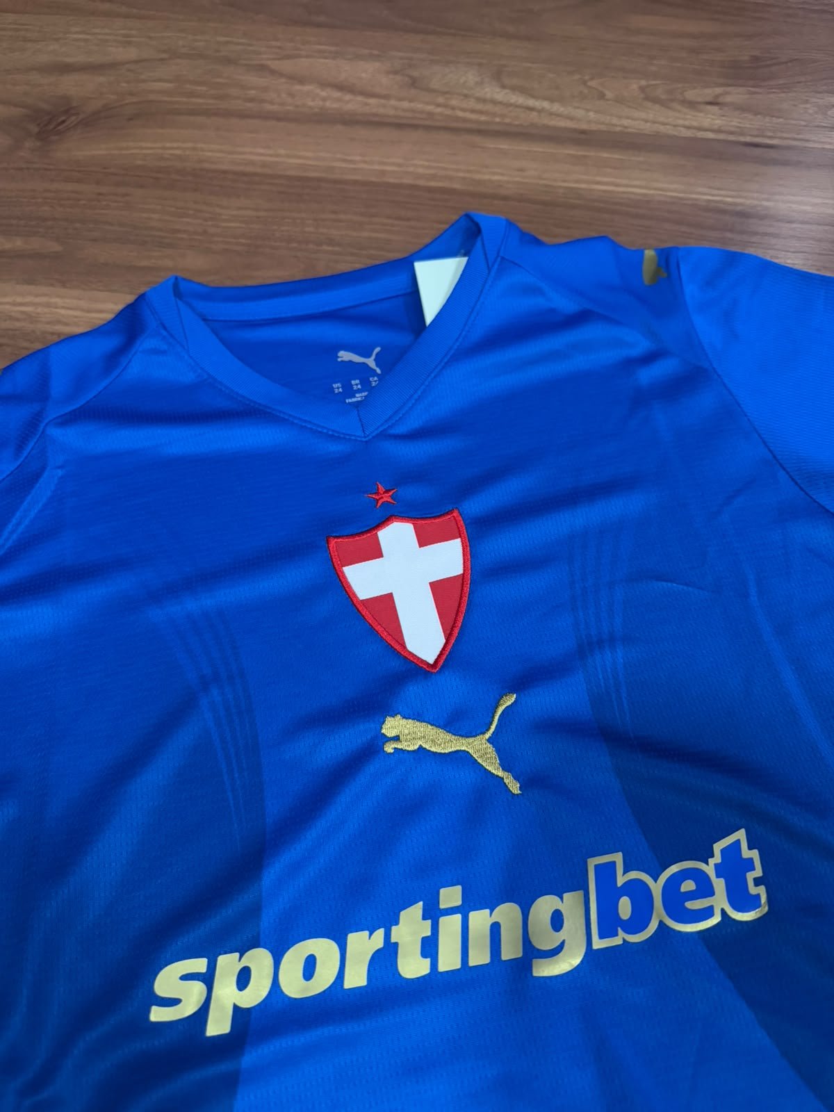 Conjunto Infantil Palmeiras III 2026/27 Puma Azul