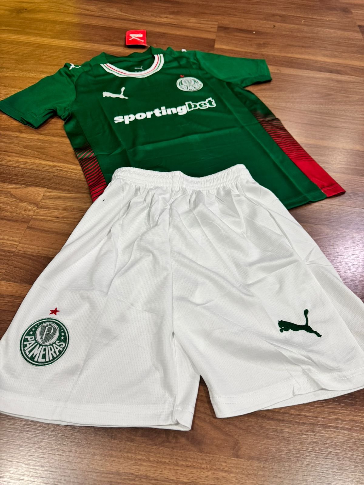 Conjunto Infantil Palmeiras I 26/27 Puma Verde