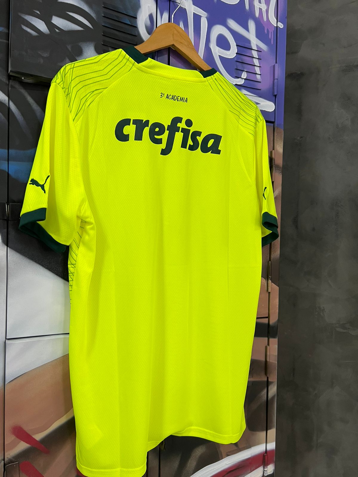 Palmeiras III 23/24 Puma verde